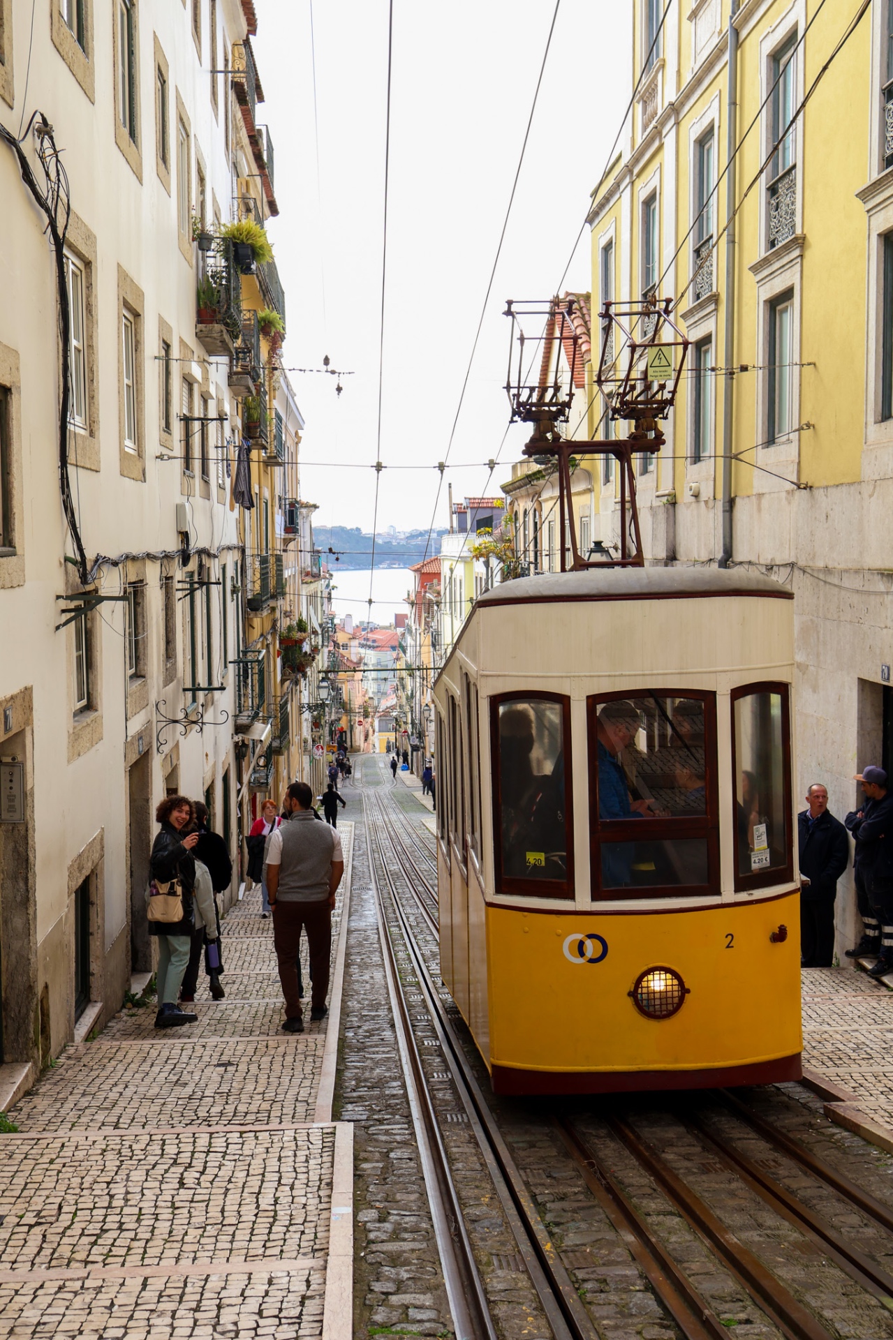 Between bites: 'Bica & Bairro Alto'